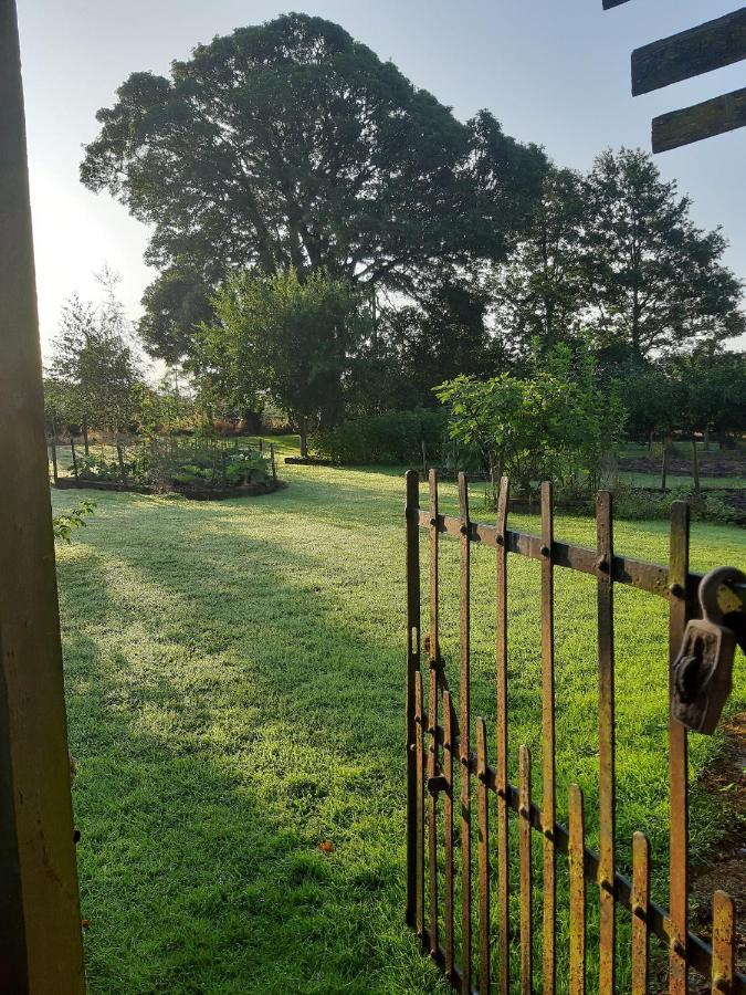 فيلا Bagenalstownفي Lorum Old Rectory المظهر الخارجي الصورة