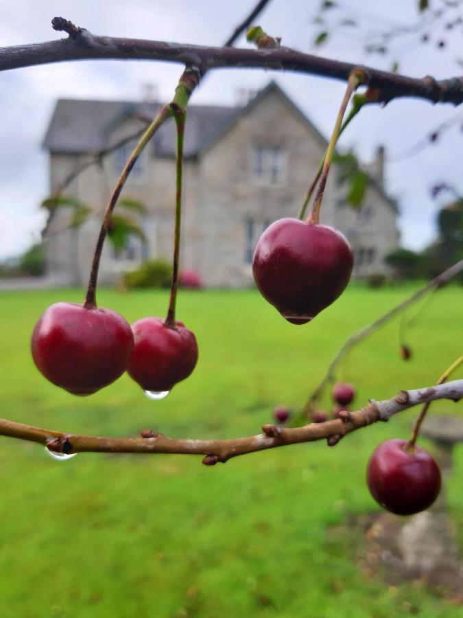 فيلا Bagenalstownفي Lorum Old Rectory المظهر الخارجي الصورة