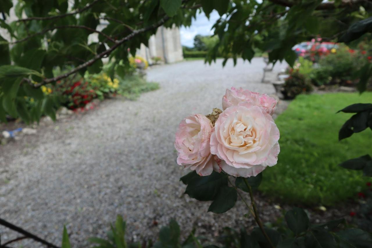 فيلا Bagenalstownفي Lorum Old Rectory المظهر الخارجي الصورة